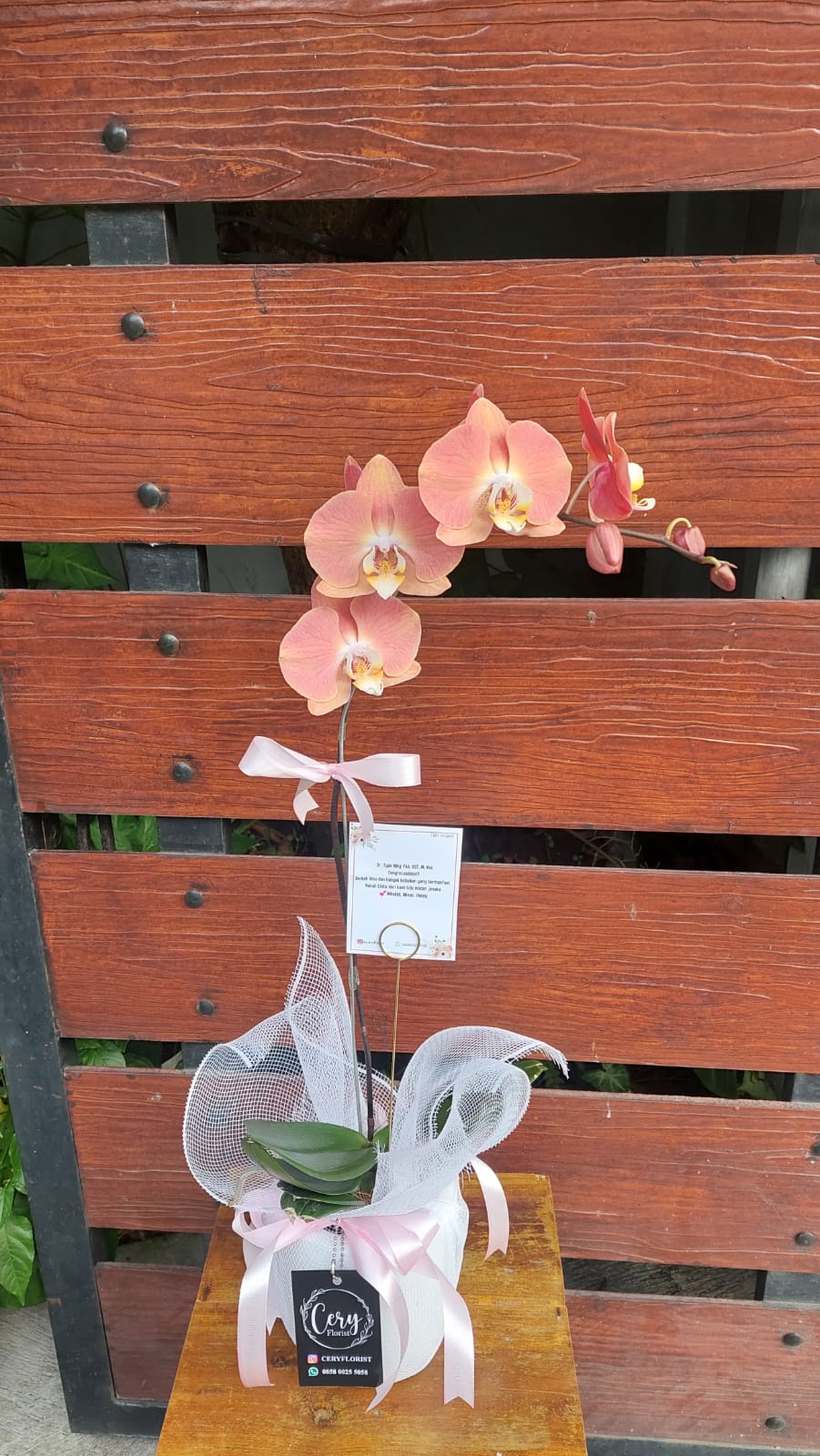 Bunga Anggek 1 Pohon